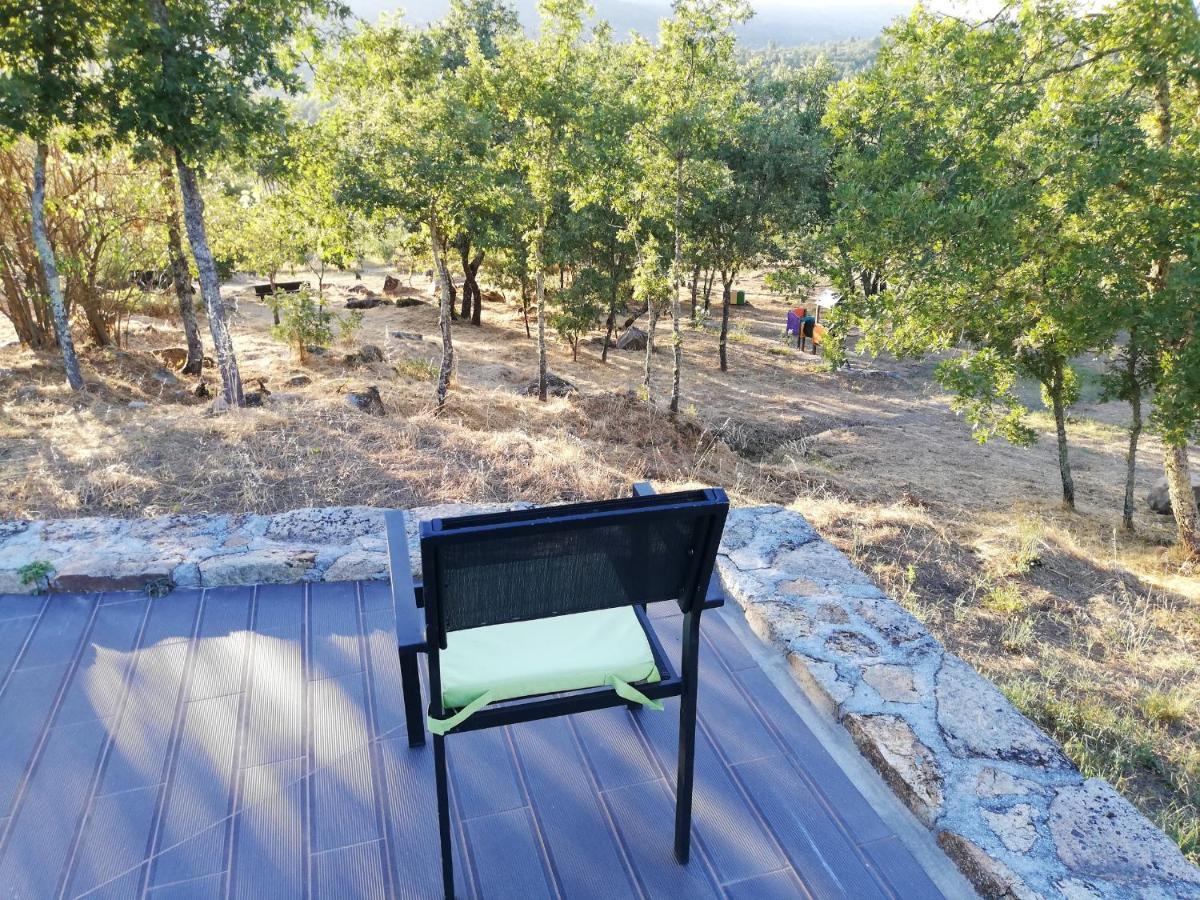 Quinta Dos Carvalhais - Serra Da Estrela Fornos de Algodres Zewnętrze zdjęcie