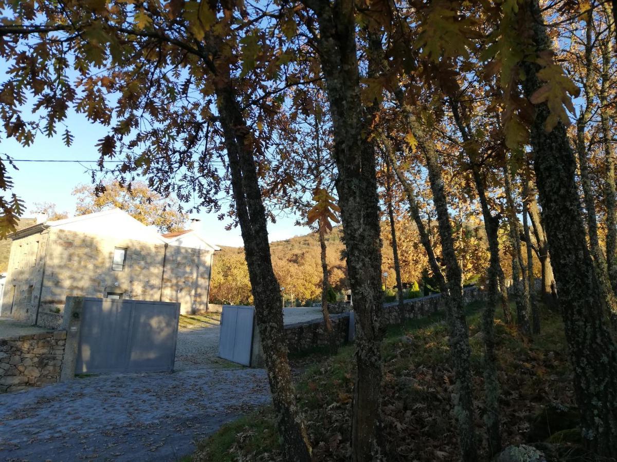 Quinta Dos Carvalhais - Serra Da Estrela Fornos de Algodres Zewnętrze zdjęcie