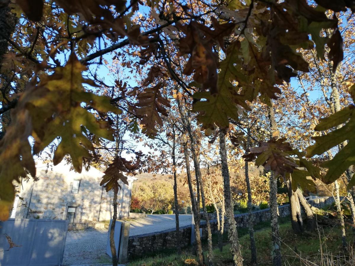 Quinta Dos Carvalhais - Serra Da Estrela Fornos de Algodres Zewnętrze zdjęcie