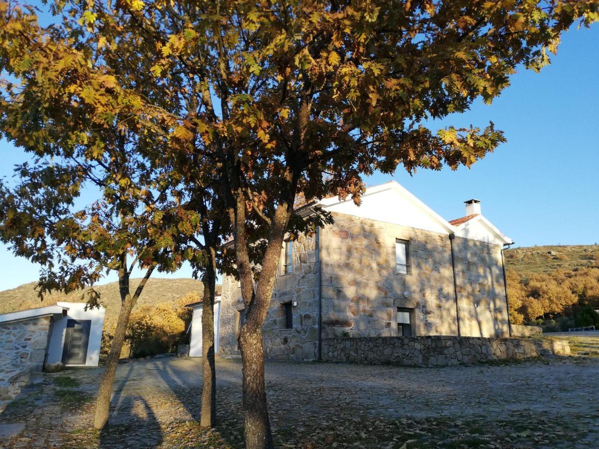 Quinta Dos Carvalhais - Serra Da Estrela Fornos de Algodres Zewnętrze zdjęcie