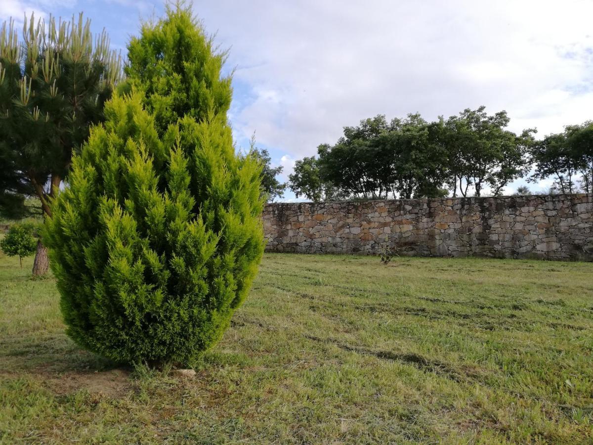 Quinta Dos Carvalhais - Serra Da Estrela Fornos de Algodres Zewnętrze zdjęcie