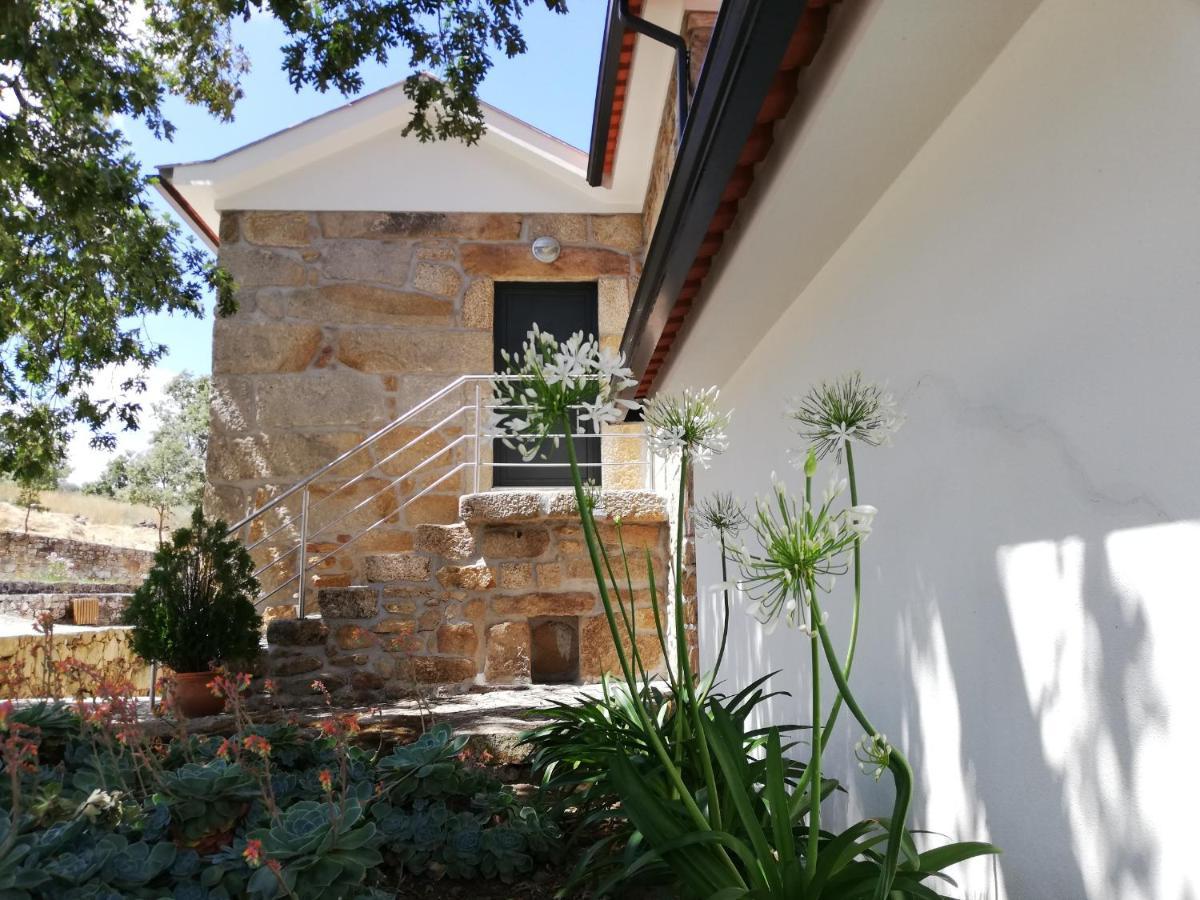 Quinta Dos Carvalhais - Serra Da Estrela Fornos de Algodres Zewnętrze zdjęcie