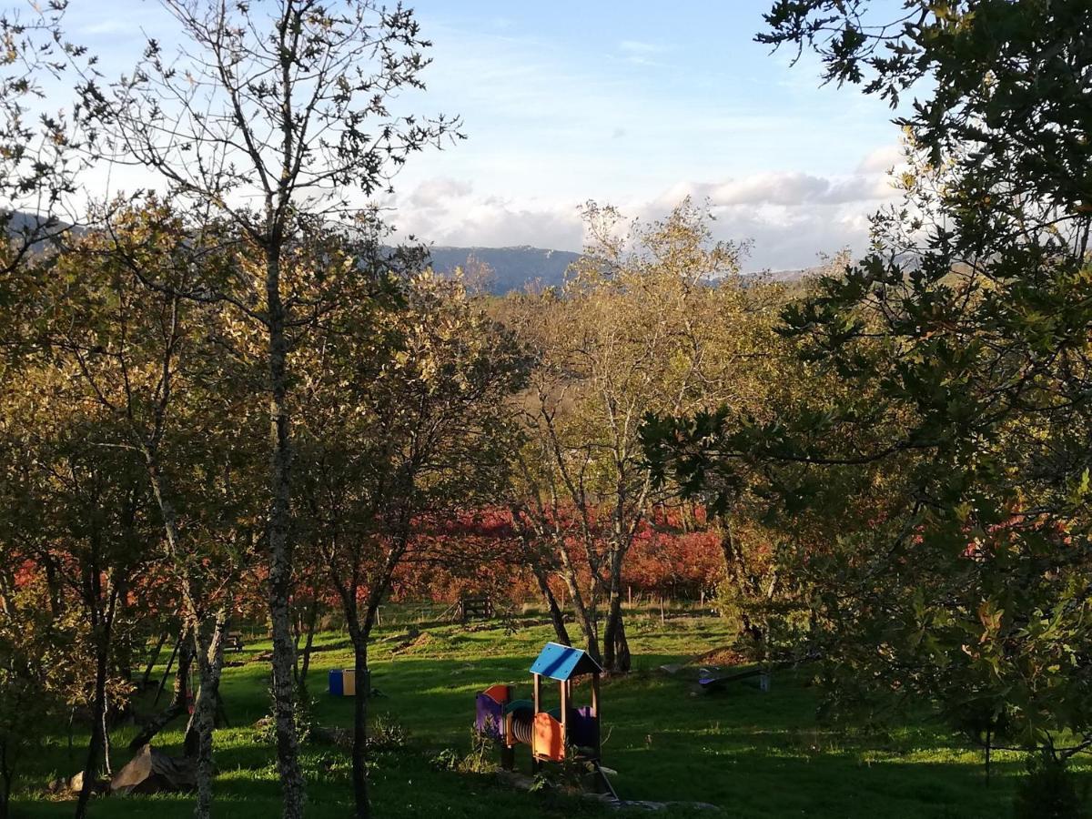 Quinta Dos Carvalhais - Serra Da Estrela Fornos de Algodres Zewnętrze zdjęcie