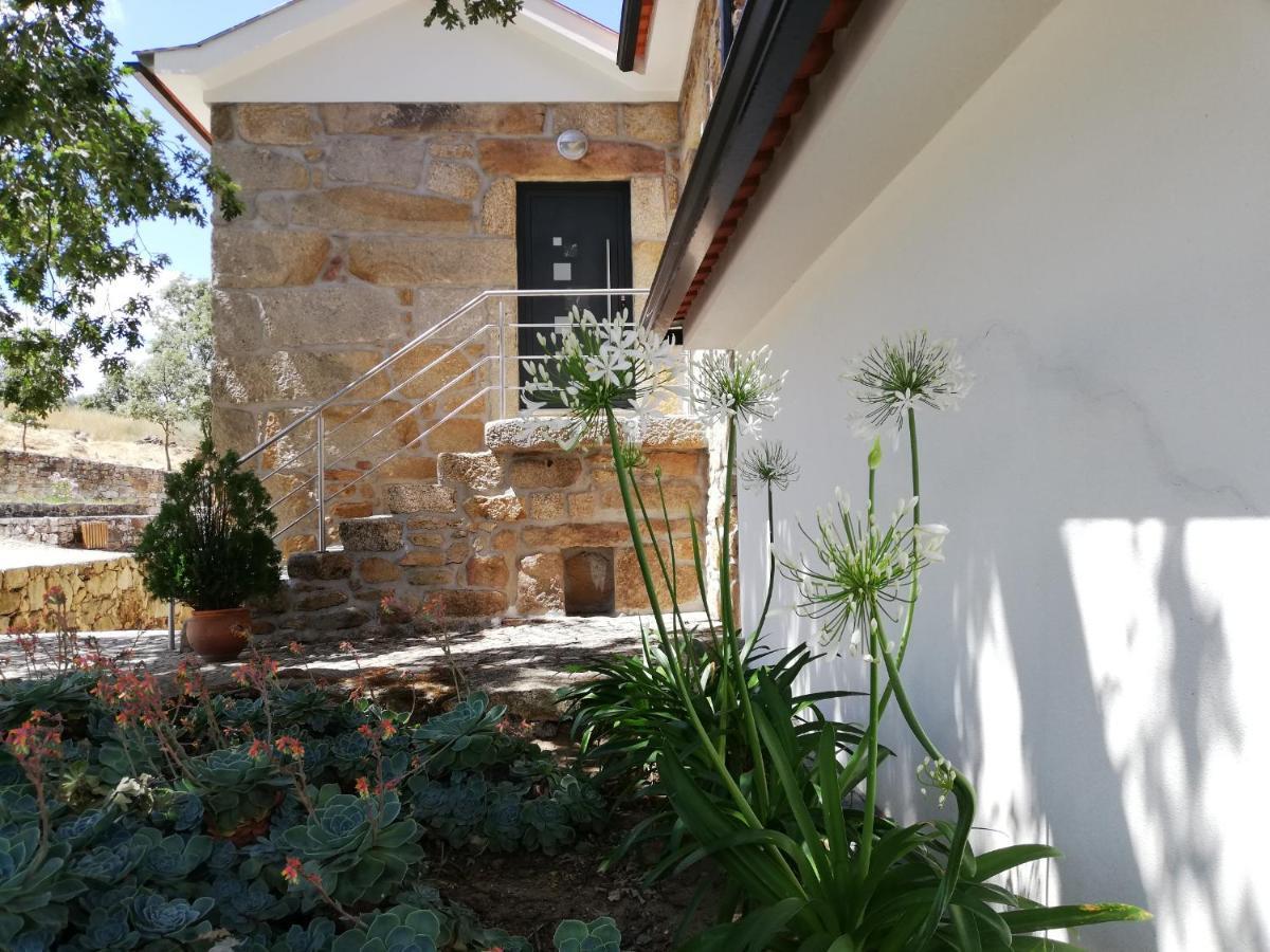 Quinta Dos Carvalhais - Serra Da Estrela Fornos de Algodres Zewnętrze zdjęcie