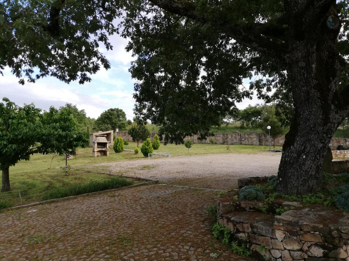 Quinta Dos Carvalhais - Serra Da Estrela Fornos de Algodres Zewnętrze zdjęcie