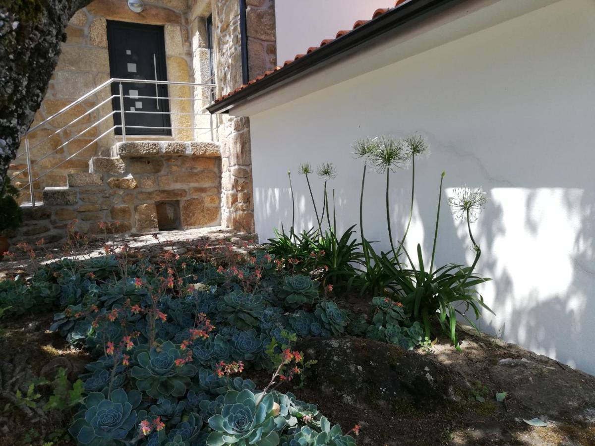 Quinta Dos Carvalhais - Serra Da Estrela Fornos de Algodres Zewnętrze zdjęcie