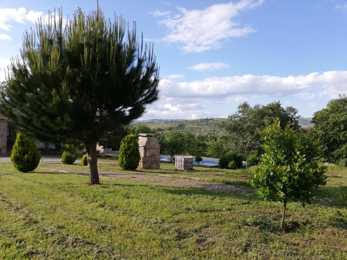 Quinta Dos Carvalhais - Serra Da Estrela Fornos de Algodres Zewnętrze zdjęcie