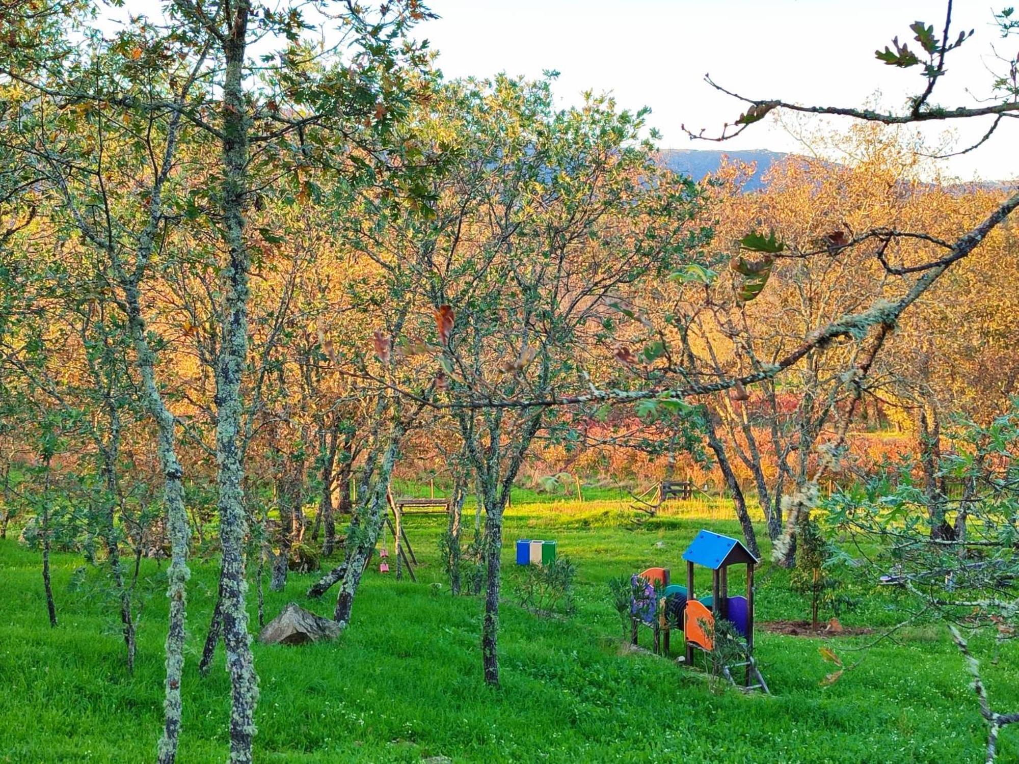 Quinta Dos Carvalhais - Serra Da Estrela Fornos de Algodres Zewnętrze zdjęcie