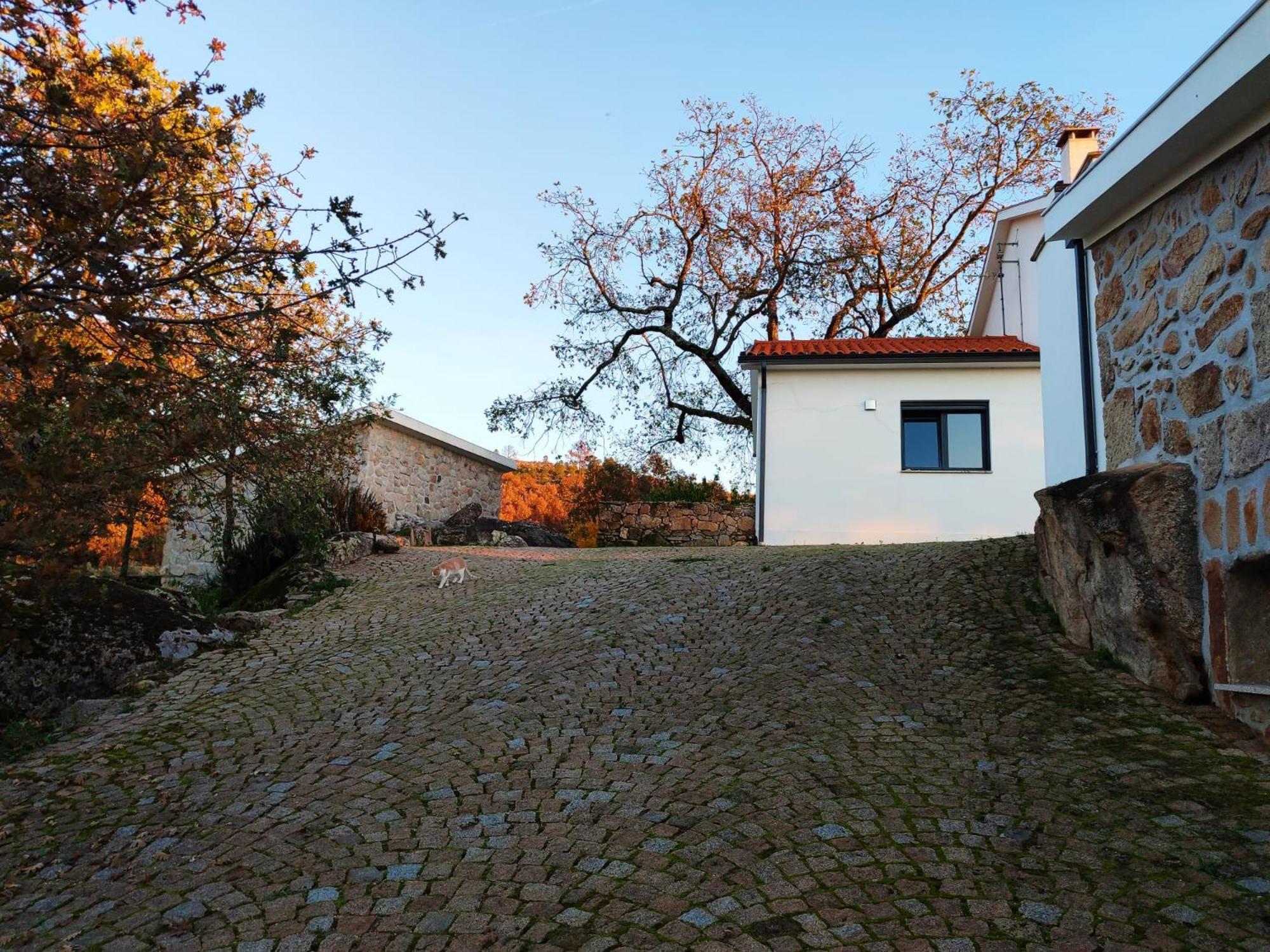Quinta Dos Carvalhais - Serra Da Estrela Fornos de Algodres Zewnętrze zdjęcie