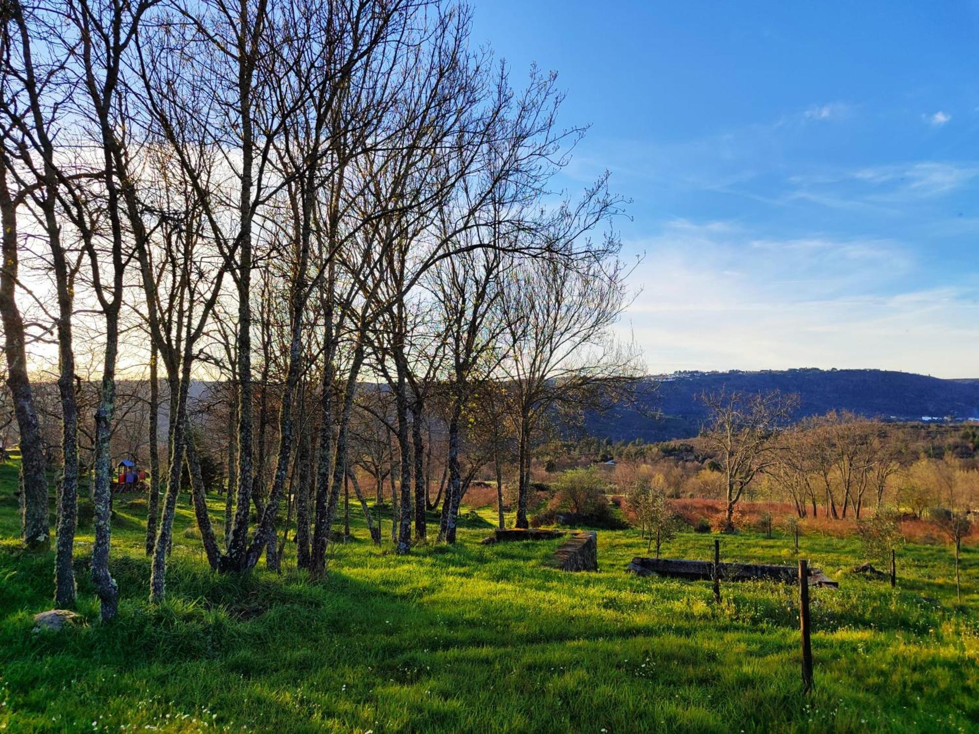 Quinta Dos Carvalhais - Serra Da Estrela Fornos de Algodres Zewnętrze zdjęcie