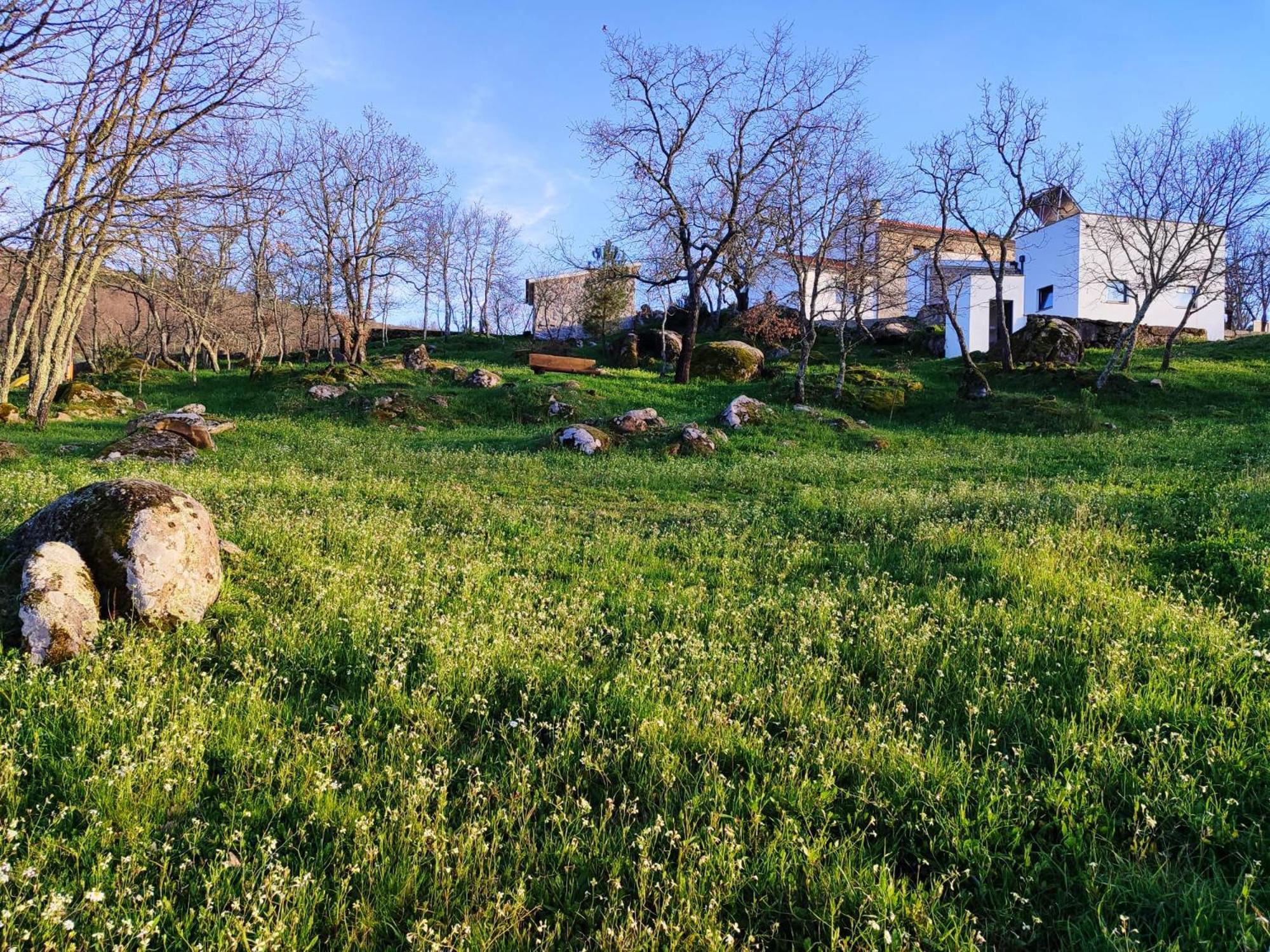 Quinta Dos Carvalhais - Serra Da Estrela Fornos de Algodres Zewnętrze zdjęcie