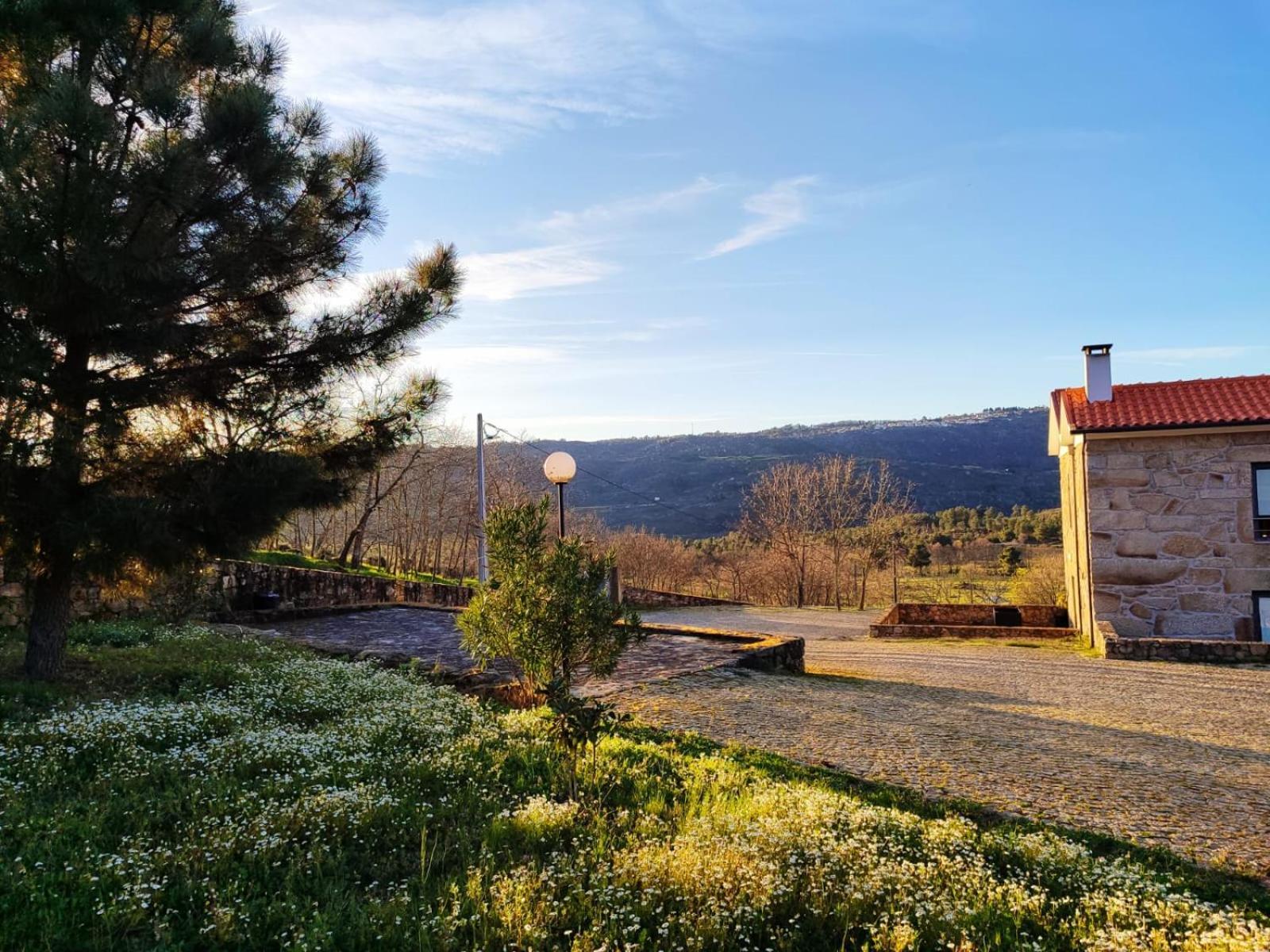 Quinta Dos Carvalhais - Serra Da Estrela Fornos de Algodres Zewnętrze zdjęcie