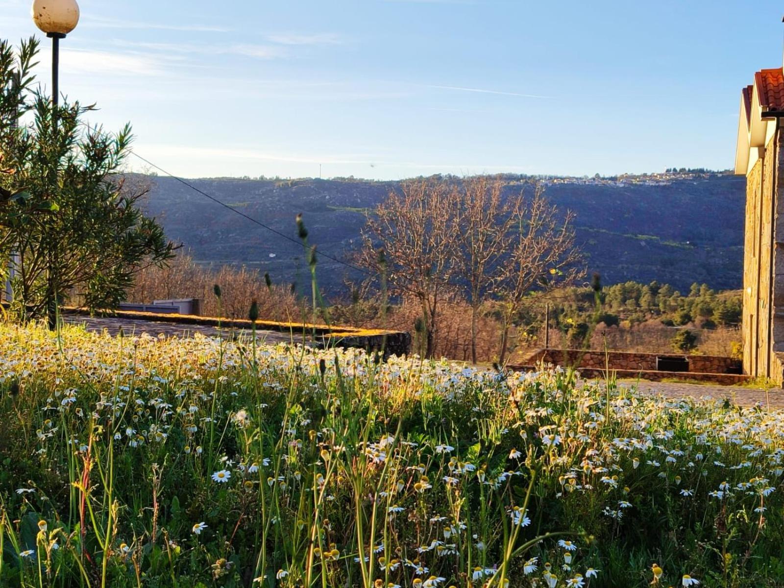 Quinta Dos Carvalhais - Serra Da Estrela Fornos de Algodres Zewnętrze zdjęcie