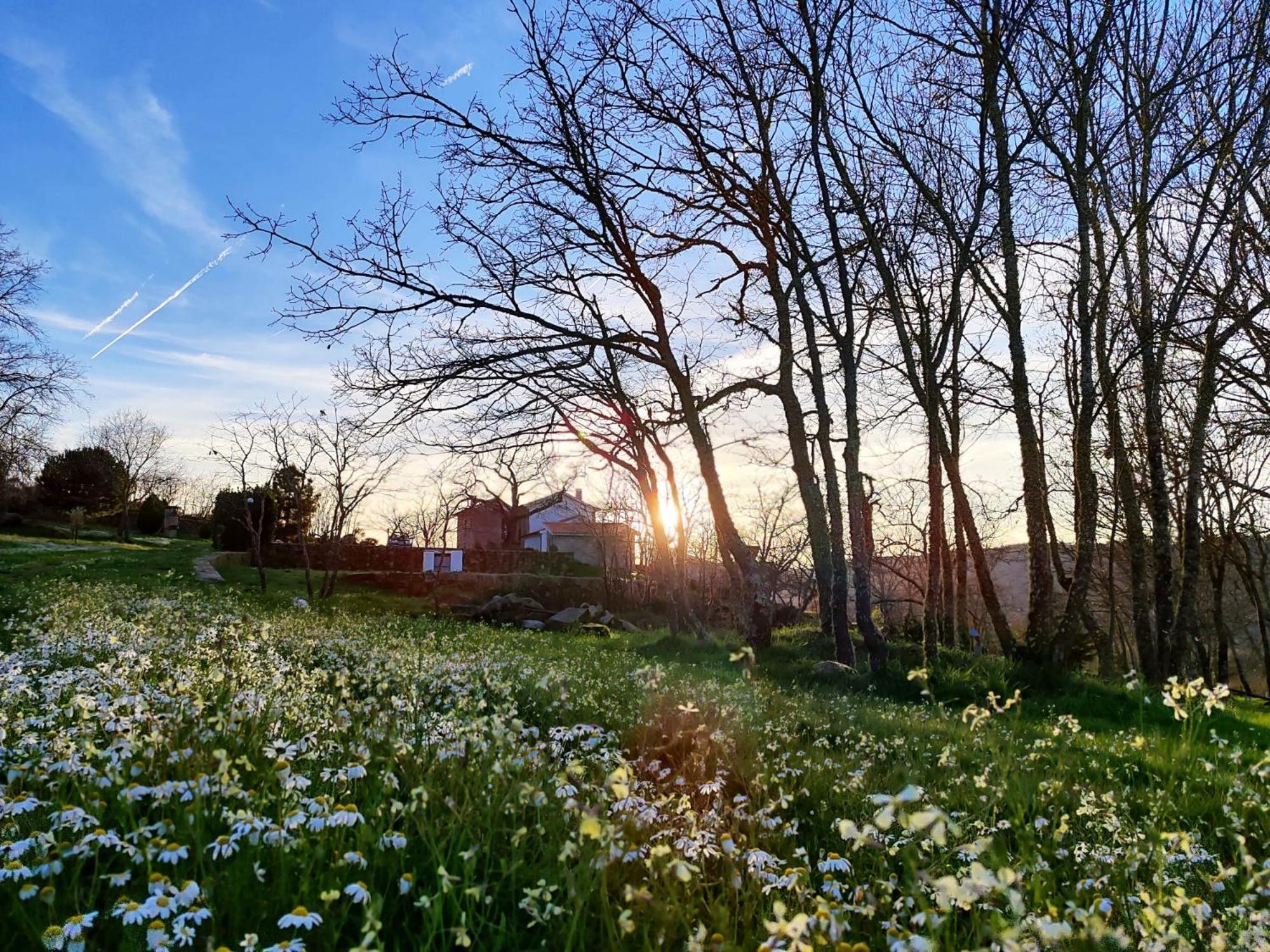 Quinta Dos Carvalhais - Serra Da Estrela Fornos de Algodres Zewnętrze zdjęcie