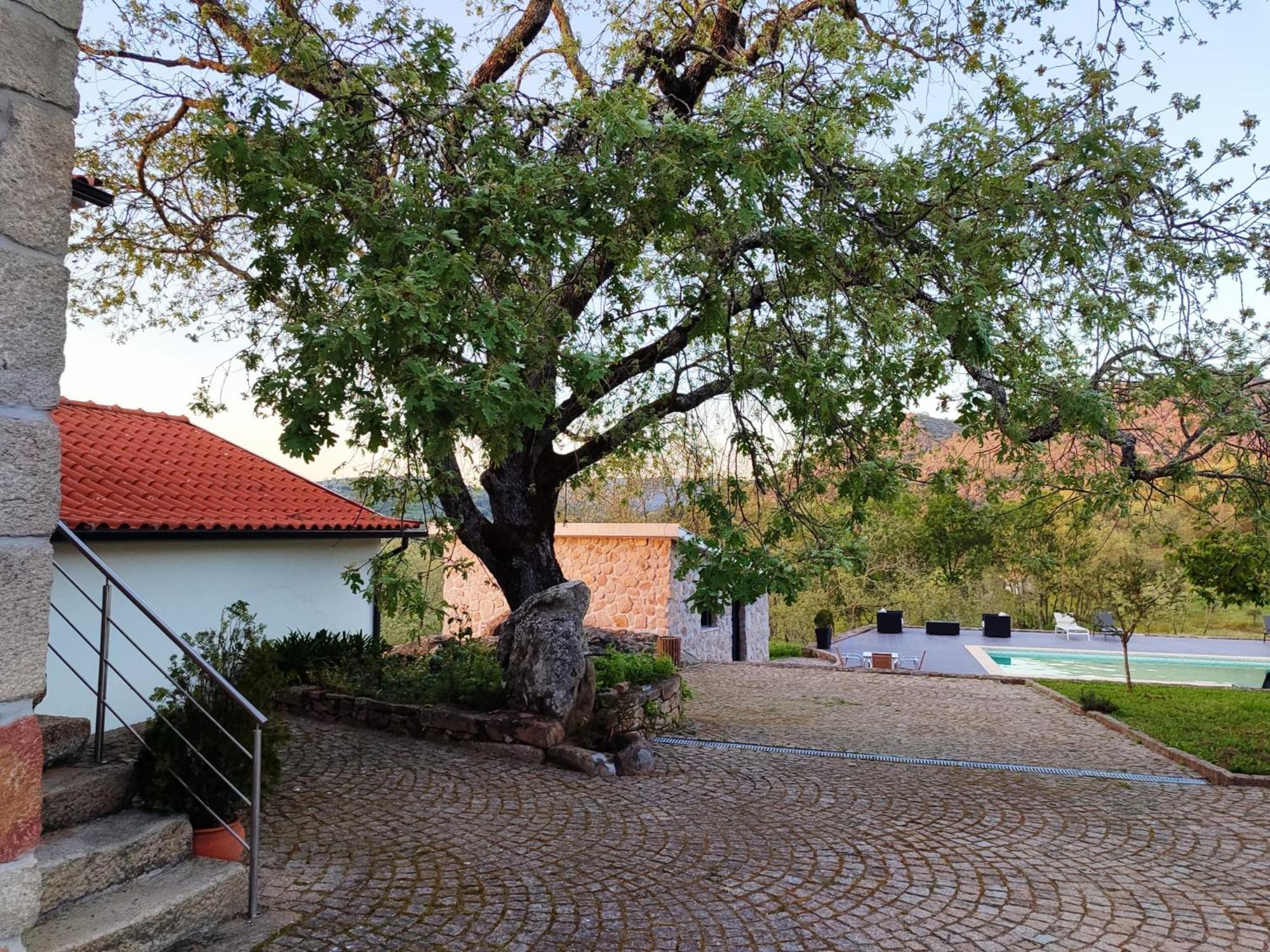 Quinta Dos Carvalhais - Serra Da Estrela Fornos de Algodres Zewnętrze zdjęcie